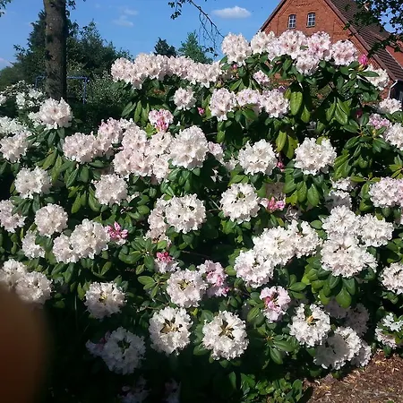 Daire Bio Dörverden