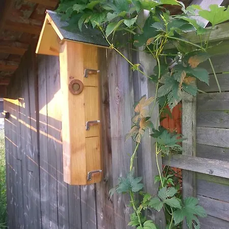 Apartment Bio Ferienwohnung